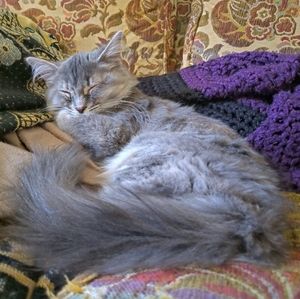 Meet your Posher, Zoe